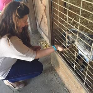 Meet your Posher, Hellay